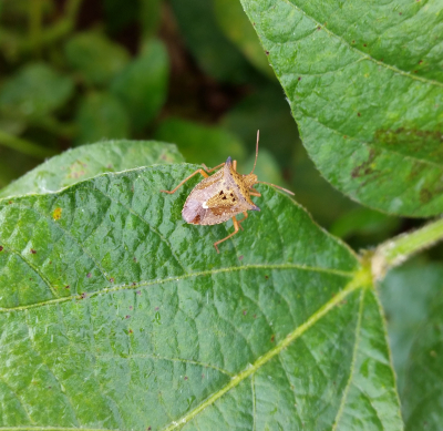 gallery/20150415_125245